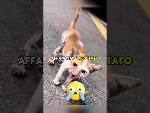Questo artista ha fatto un esperimento assurdo