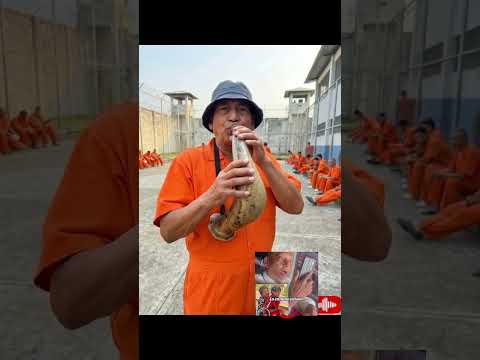 El hermanito Que pasó en la celda #humor #noticias