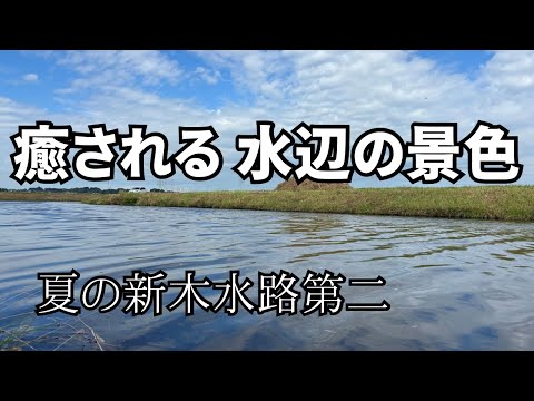 【癒し／自然音】誰もいない野釣り場で、鳥の声と稲穂を揺らす風の音に癒される午後｜千葉・新木水路