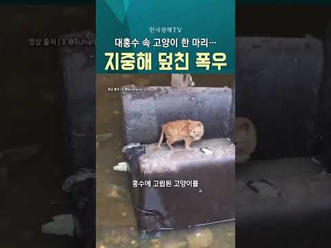 [한국경제TV NEWS] 지중해 <strong>덮친</strong> 물폭탄 ㅣ #shorts