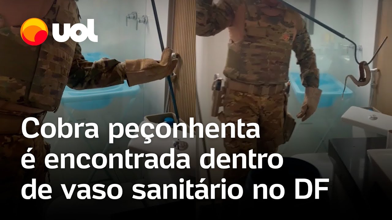 Cobra peçonhenta é encontrada dentro de vaso sanitário no Distrito Federal; veja vídeo