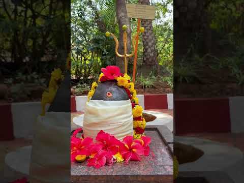 Abhigya Anand's visit to Sri Sri Gurukulam
