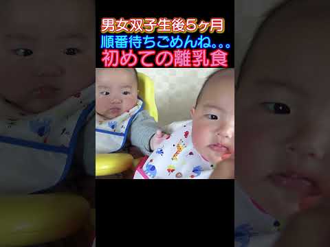 双子の宿命、順番待ちに大号泣。。。【生後5ヶ月男女双子初めての離乳食】#赤ちゃん #baby #生後5ヶ月 #離乳食 #初めて #号泣  #双子 #twins #shorts