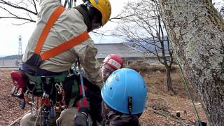 Japanese Tree Climbing Rescue training ツリークライミング　アーボリスト　TARS DEMO