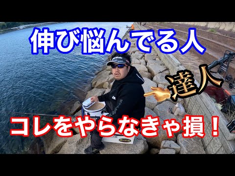 【チヌ釣り】やらないと後悔する最強の上達法【紀州釣り】