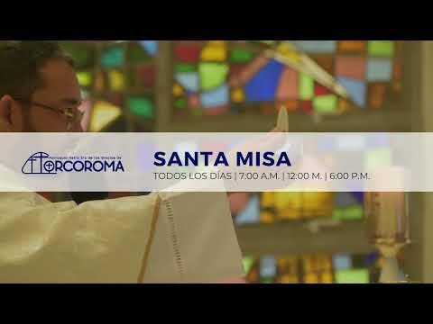 11 de feb |Santo Rosario y Santa Misa Dominical | “Si tú quieres, puedes curarme”.