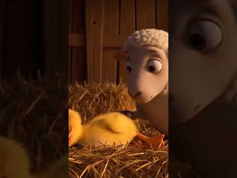 "One Friendship, A Thousand Memories 🐑💞 | A Tearful Farewell"