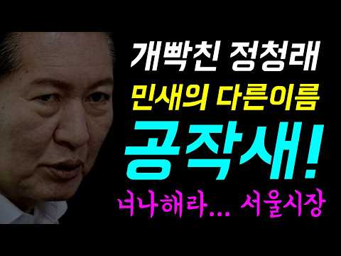 개빡친 정청래... 너나해라 '서울시장!'ㅋ, 저 세상 삼류정치... 민새의 다른이름 '공작새!', 누가봐도 100% 의도된 수첩 노출ㅋ, 정말 짜치는 밑바닥 정치공작!