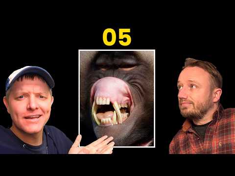 Flagella Evolution 05: Irreducible Complexity Exposed