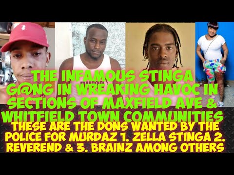 The Infamous Stinga G@NG Wreaking Havoc Now The Top Tier Members Are Wanted Zella, Rev & Brainz