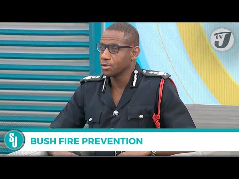 Bush Fire Prevention with Deptuty Comm. Sean Orlando Martin | TVJ Smile Jamaica