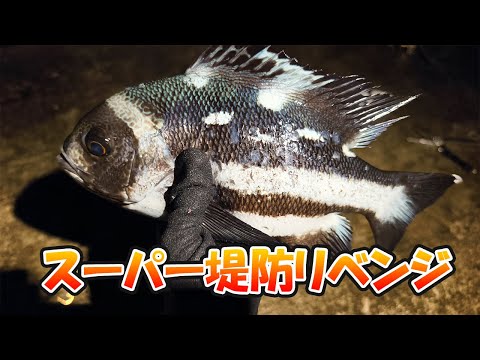 喜界島のスーパー堤防でリベンジしたら、まさかの・・・【釣り | 喜界島】2025.10.12
