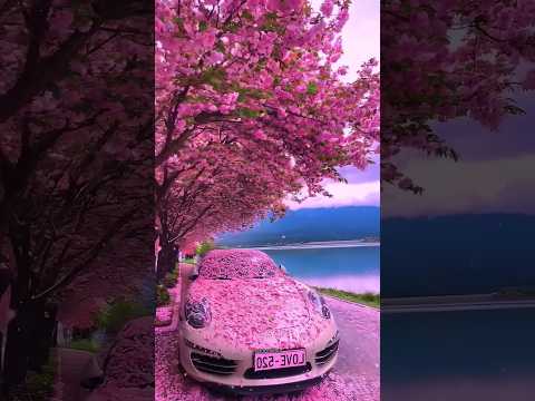 📍Most Amazing Places In The World 🌍#nature #travel #adventure #shorts #viral