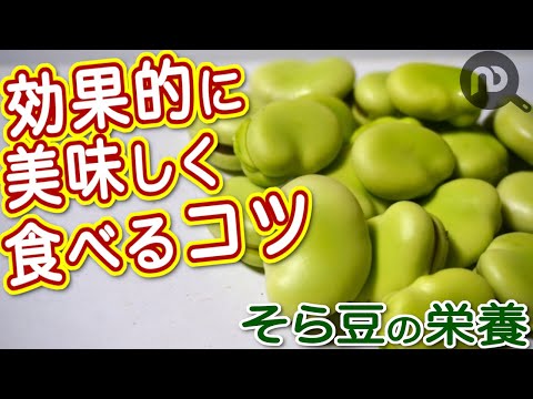 そら豆の栄養がすごい！効果的に摂取して美味しく食べるコツは？ N.D.Kitchen Wellness
