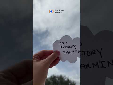 What's that crazy message in the clouds...