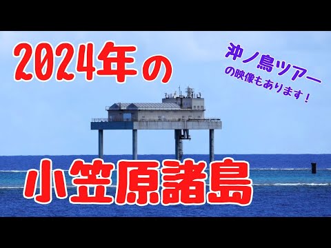 2024年の小笠原諸島を映像で振り返る