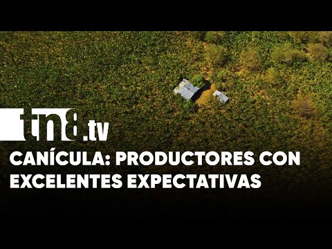 Canícula: Productores con excelentes expectativas en la siembra de postrera - Nicaragua
