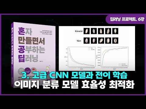 [딥러닝 프로젝트] 6강. 고급 CNN 모델과 전이 학습 | ①이미지 분류 모델의 효율성 최적화하기