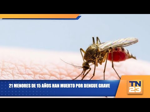 21 menores de 15 años han muerto por dengue grave