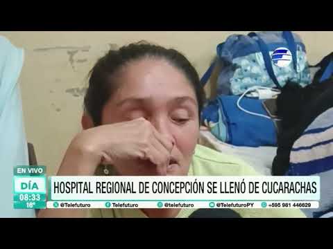 Hospital Regional de Concepción se llenó de cucarachas