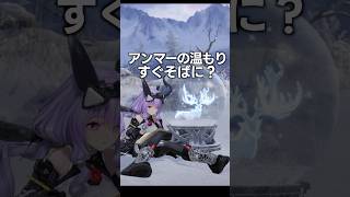 すぐそばに？新装飾品！【 アークナイツ： #エンドフィールド｜公認クリエイター】#PR #ぶいきゃす