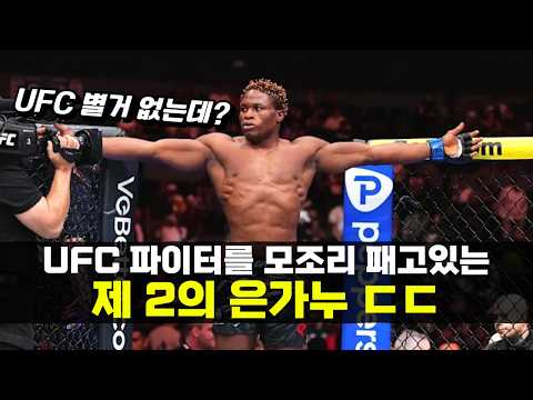 제 2의 은가누가 나타났다 !!? 등장하자마자 UFC 파이터들을 모조리 패버린 괴력 몬스터 ㄷㄷ