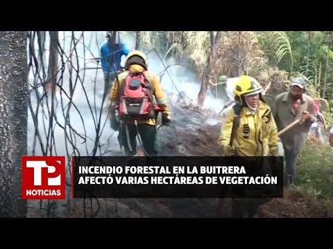 Incendio forestal en La Buitrera afectó varias hectáreas de vegetación |17.04.2024| TP Noticias