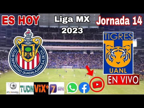 Chivas vs. Tigres en vivo, donde ver, a que hora juega Chivas vs. Tigres Liga MX 2023