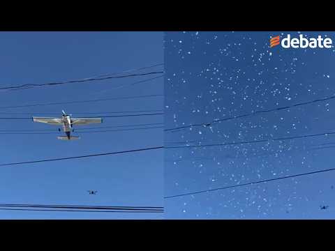 Pétalos blancos caen del cielo en plena marcha por Ricardo Mizael