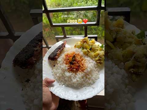 ഉമ്മാന്റെ ഫുഡ് 🥹❤️#homelyfood #food #happiness #malayalamvlog #minishorts #shorts #memorymakerrrr