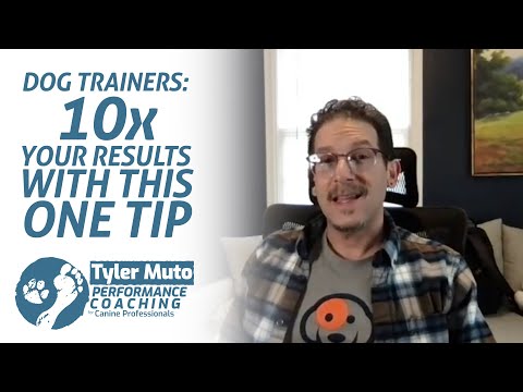 Dog Trainers: 10x Your Results with This One Tip! | Performance Coaching with Tyler Muto