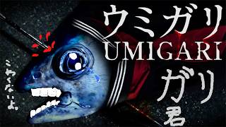 漁師系Vtuberです