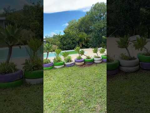 SOLTEI O SLINK NO PÁTIO