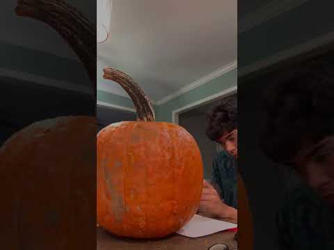 Am I right or am I right? #mtb #bikelover #mtbbike