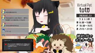 【SHOWROOM】totoฅ•ω•ฅとある猫カフェ＜ミラー配信＞