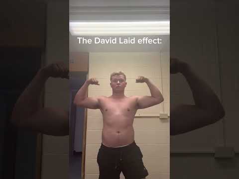 The David Laid Effect: #davidlaid #aesthetics #fitnessinspiration #motivation #shorts #gym #fitness