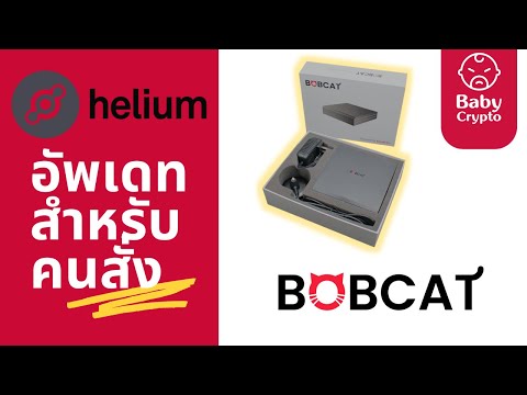 ใครสั่ง-Bobcat-ไปแล้วเข้ามาดูก ใครสั่ง-Bobcat-ไปแล้วเข้ามาดูก