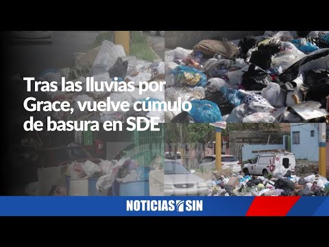 Tras tormenta vuelve cúmulo de basura en SDE