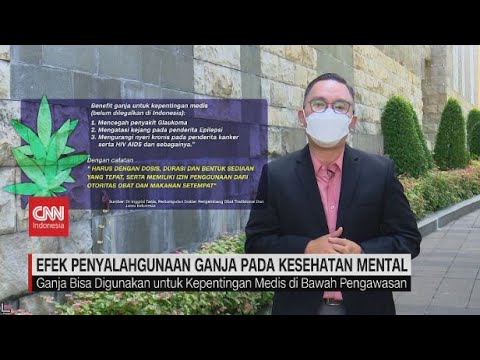 Efek Penyalahgunaan Ganja pada Kesehatan Mental