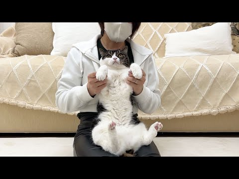 ママの妹に捕まってぬいぐるみ化した猫…w