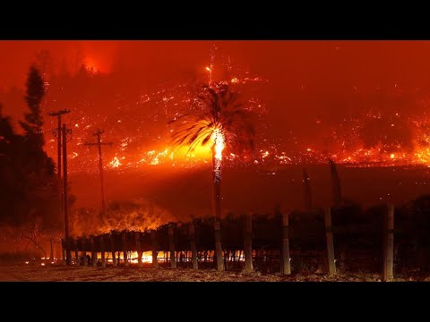 En Californie, des vignobles de la Napa Valley ravagés par les flammes