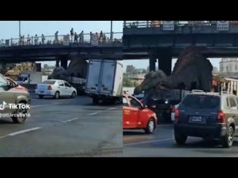 'Dinosaurio' genera caos vehicular tras quedarse atorado en puente de Acho