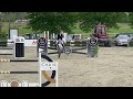 Show jumping horse Mac Jack Courtier