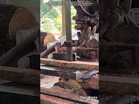 건축 <strong>자재</strong> 생산을 위한 두꺼운 나무 판재 켜기 과정 #worker #process #woodworking #sawmill #lumber