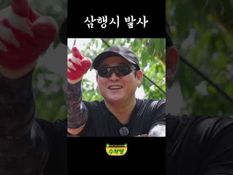 삼행시 발사