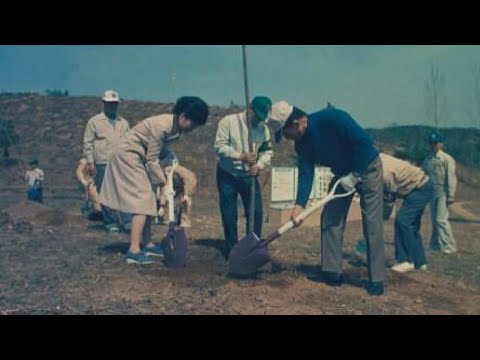 <strong>까치방송</strong> 그 님이 그립습니다 | 재임 내내 나무를 심으셨다 | 박정희 대통령 | 박근혜 퍼스트레이디 | 22.4.26