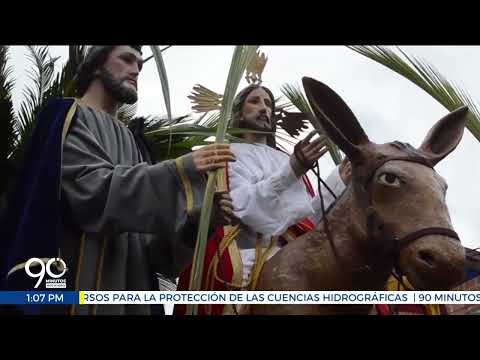 Autoridades protegen palma de cera de posible tráfico de flora durante semana santa