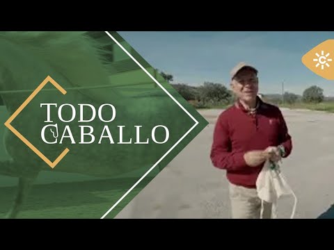 TodoCaballo | Una jornada de campo inolvidable con caballos salvajes