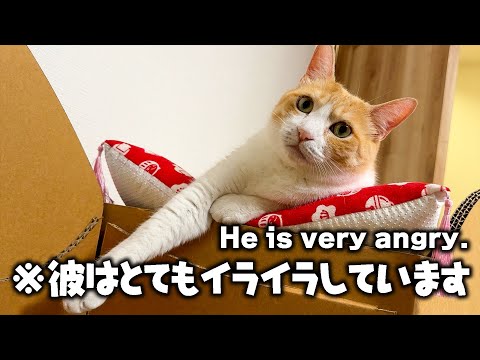 こう見えてめちゃくちゃキレてます