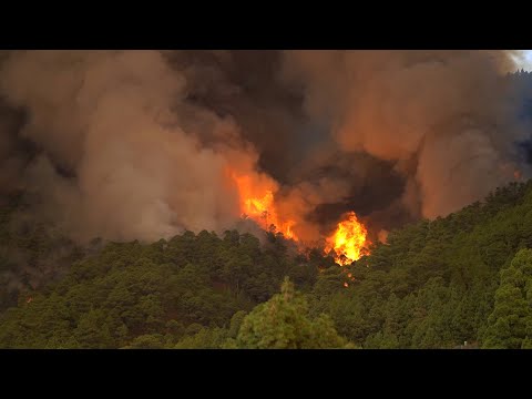 El incendio de Tenerife avanza sin control tras arrasar 1.800 hectáreas